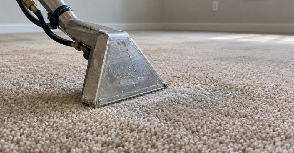 Professional cleaner treating a pet stain on carpet inside a Charleston rental property